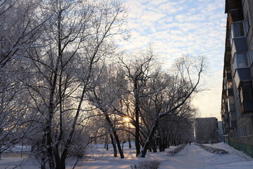 sunset in the city