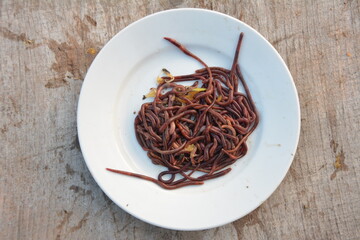 Earthworms for organic farming and agriculture, dew worms