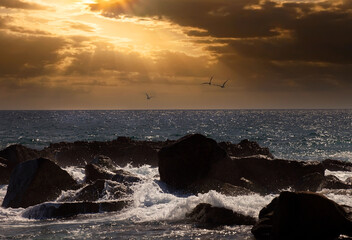 Evening Sky in Cabo San Lucas, Mexico