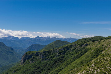 Obraz premium landscape in summer