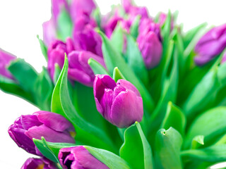Bouquet red tulips on a white background. Valentine Day and Mother Day. copy space for design. holiday concept. Image for desktop and wallpaper. close up