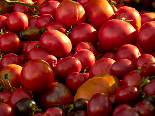 Background with ripe red tomatoes..