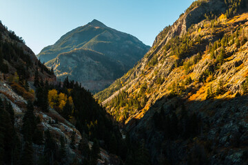 Fall Color in The Uncompahgre Gorge on The Million Dollar Highway, Ouray, Colorado, USA