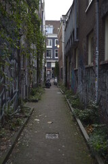 Fototapeta na wymiar One narrow street of Amsterdam, The Netherlands