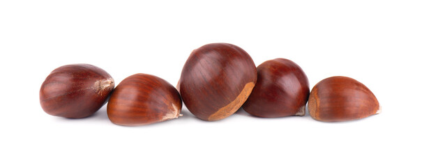 Fresh chestnuts isolated on white background. Hippocastanum or horse chestnuts.