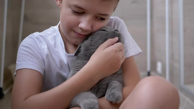 Smile Boy Sit On Floor, Hugs Gray British Cat, Plays. Love to Pet Animals