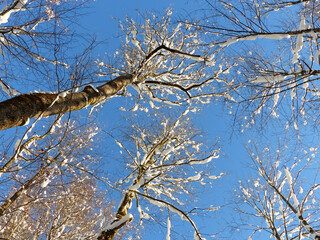 Winter hiking tour to Seekarkreuz mountain and Lengrieser hut, Bavaria, Germany