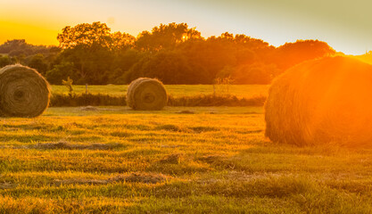Hay Bales in The Field at Sunset, Washington County, Texas, USA © Billy McDonald