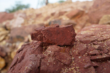 a piece of red shale sedimentary rock on nature background. 