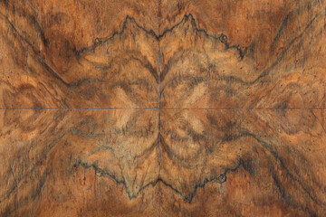 Briar wood detail texture background, symmetry