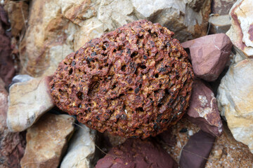 raw specimen of Laterite rock on nature.