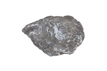 specimen of gray limestone rock isolated on a white background.