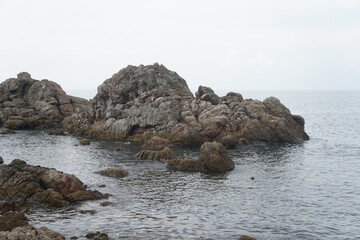 Fototapeta na wymiar unusual sandstone emerging from the sea. reef rocks on natural background.