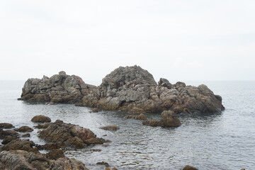 unusual sandstone emerging from the sea. reef rocks on natural background.