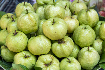Pile of guava totaldivision to sell in the markets. Fresh guavas background. Organic green guava, sale in community store Is a fruit that is very high in vitamin C