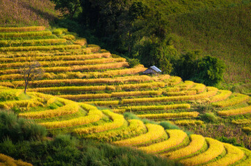 Rice terrace field in Ban Pa Bong Piang village in Mae Chaem District, Chiang Mai Province, Thailand