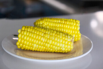 Hot boiled corn on a white plate