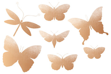 Butterflies and dragonflies. Bronze elements set on white background