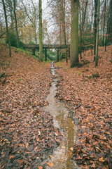 A narrow water path surrounded by dead leaves leads the view towards a wooden bridge in the forest.