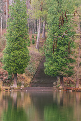 A majestic stone staircase at the edge of a lake with placid water and surrounded by two tall pines leads up to the wood.