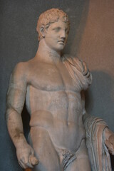 rome and vatican panoramics