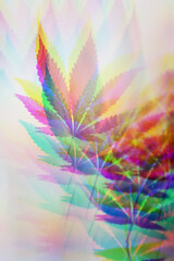 Trippy and psychedelic cannabis leaf. Hallucinations caused by cannabis or marijuana. Weird and wild cannabis background. The use of drugs to alter your mind.  - obrazy, fototapety, plakaty