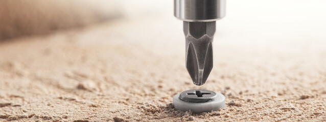 screwdriver screw and dowel in a concrete wall background
