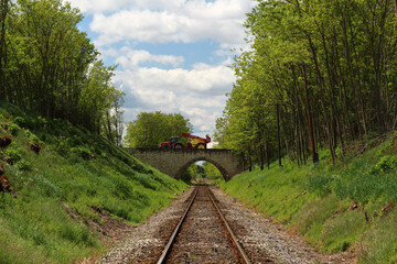 railway in the forest