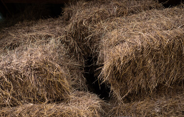 Haystack in autumn, hay storage in village