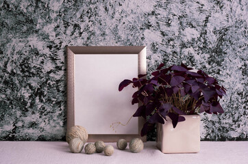 houseplant in a white vase, gray photo frame on a gray background