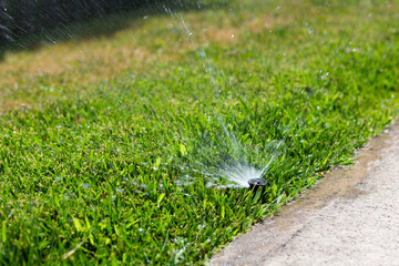 Closeup on water sprinkler spraying water to green grass backyard. Garden watering system