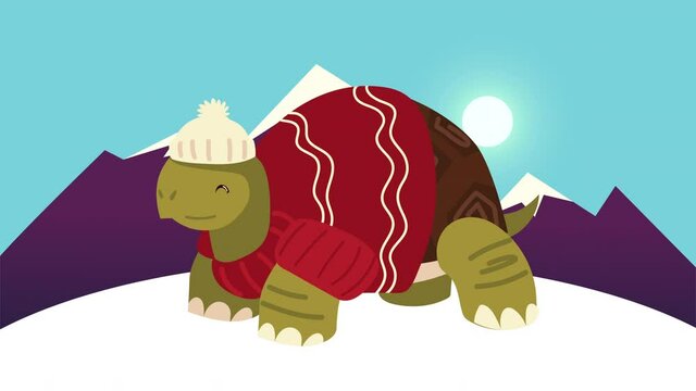 cute little turtle with christmas coat in snowscape