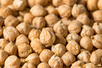 Dry Organic Chickpea Garbanzo Beans