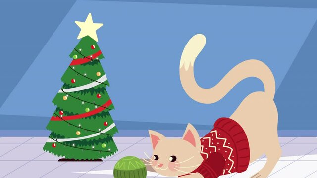 cute little cat with christmas suit and pine tree