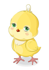 Cute baby Chicken