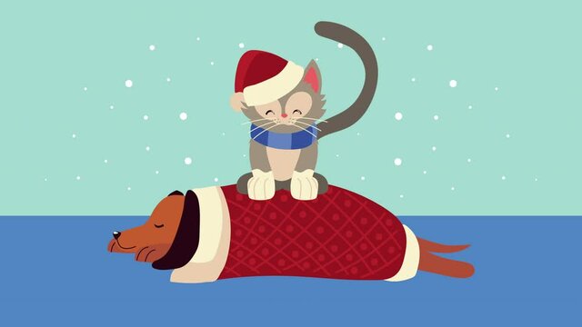 cute little dog sleeping with christmas suit and cat