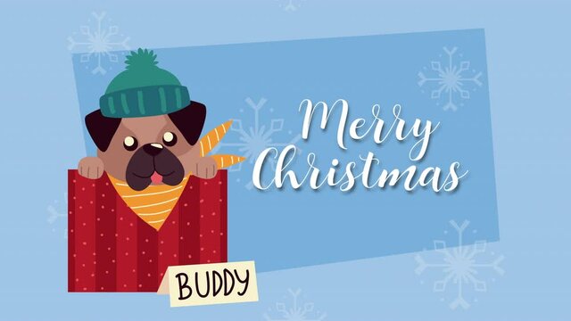cute little dog in gift with christmas suit and lettering