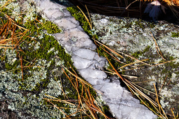 Granite rock with quartz ribbon