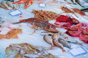 Сlose-up of fresh fish in market stock photo. Fish counter with shrimp, tuna, lobster, flounder, sea bass in Greece