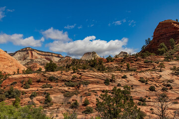 Zion National Park, Utah

