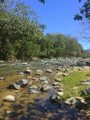 small river in the forest