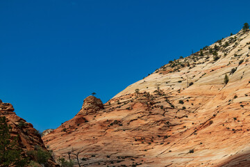 Fototapeta premium Zion National Park, Utah 
