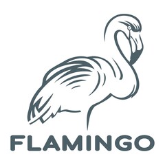 Flamingo logo template - vector illustration. Logo design on a white background.