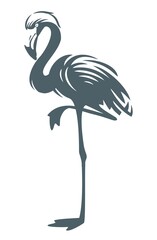 Flamingo bird - vector illustration.
