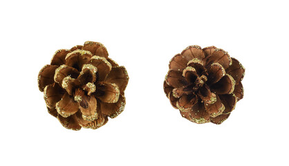 Set of pine cones with golden glitter