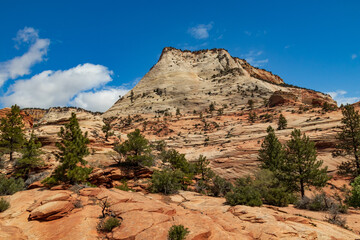 Fototapeta premium Zion National Park, Utah 