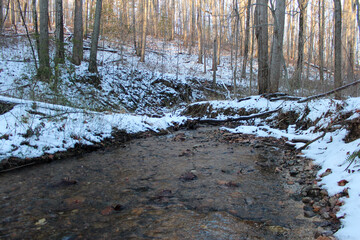 Winter Creek