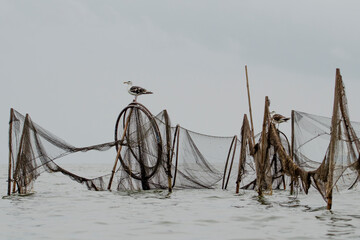 Sieci rybackie na Zalewie Wiślanym