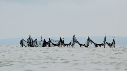 Sieci rybackie na Zalewie Wiślanym