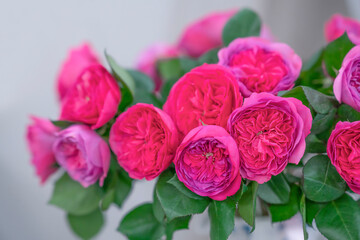 Close-up beautiful bouquet with pink peonies roses, David Austin, stock photo. Flower background